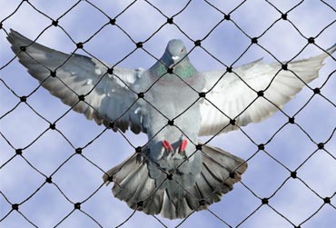 bird nets in hyderabad