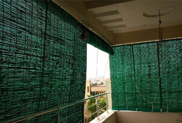 green net