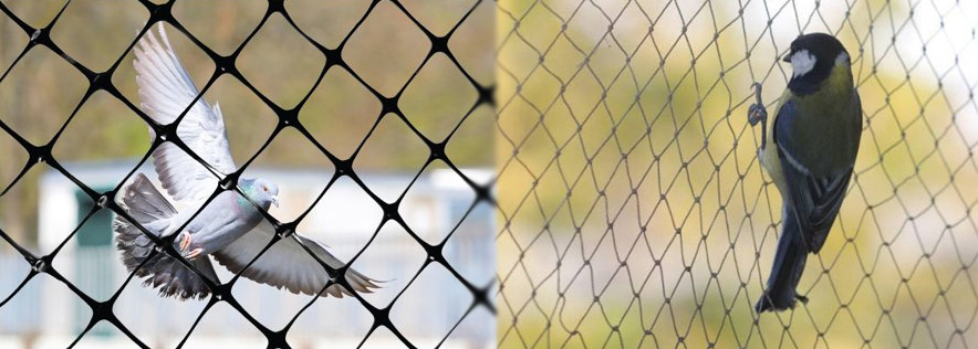 Anti Bird Nets In Hyderabad