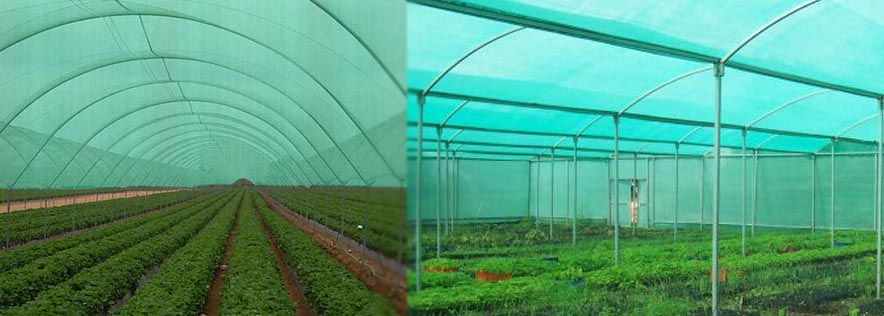 Shade Net In Hyderabad
